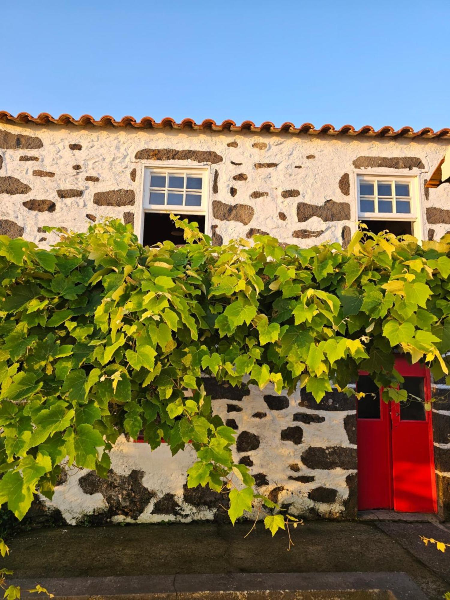 Casa Anjos Holiday Cottages Cedros Exteriér fotografie